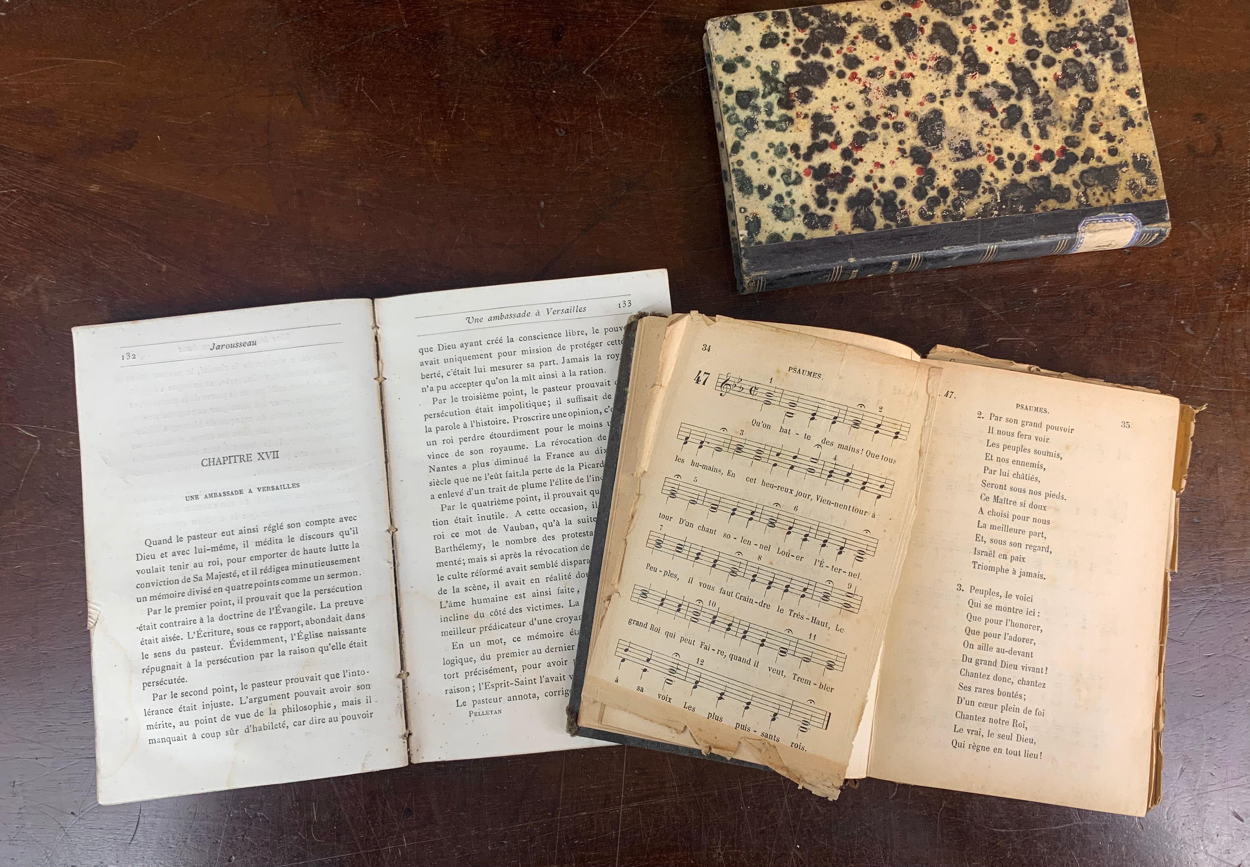 French Set of Old Books from 19th Century For Sale