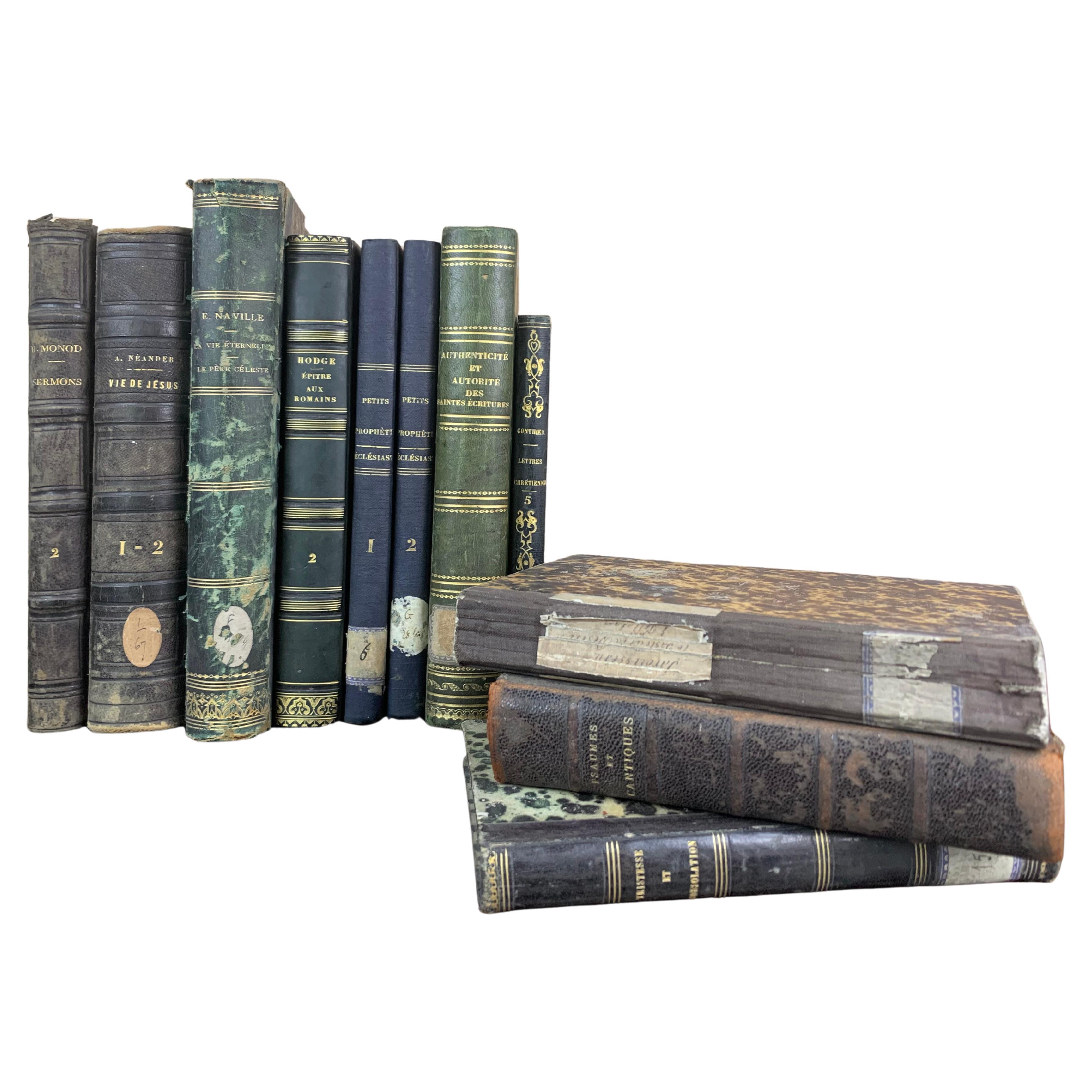 Set of Old Books from 19th Century For Sale