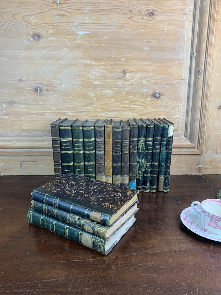Set of Old Bound Books 19th Century France For Sale at 1stDibs