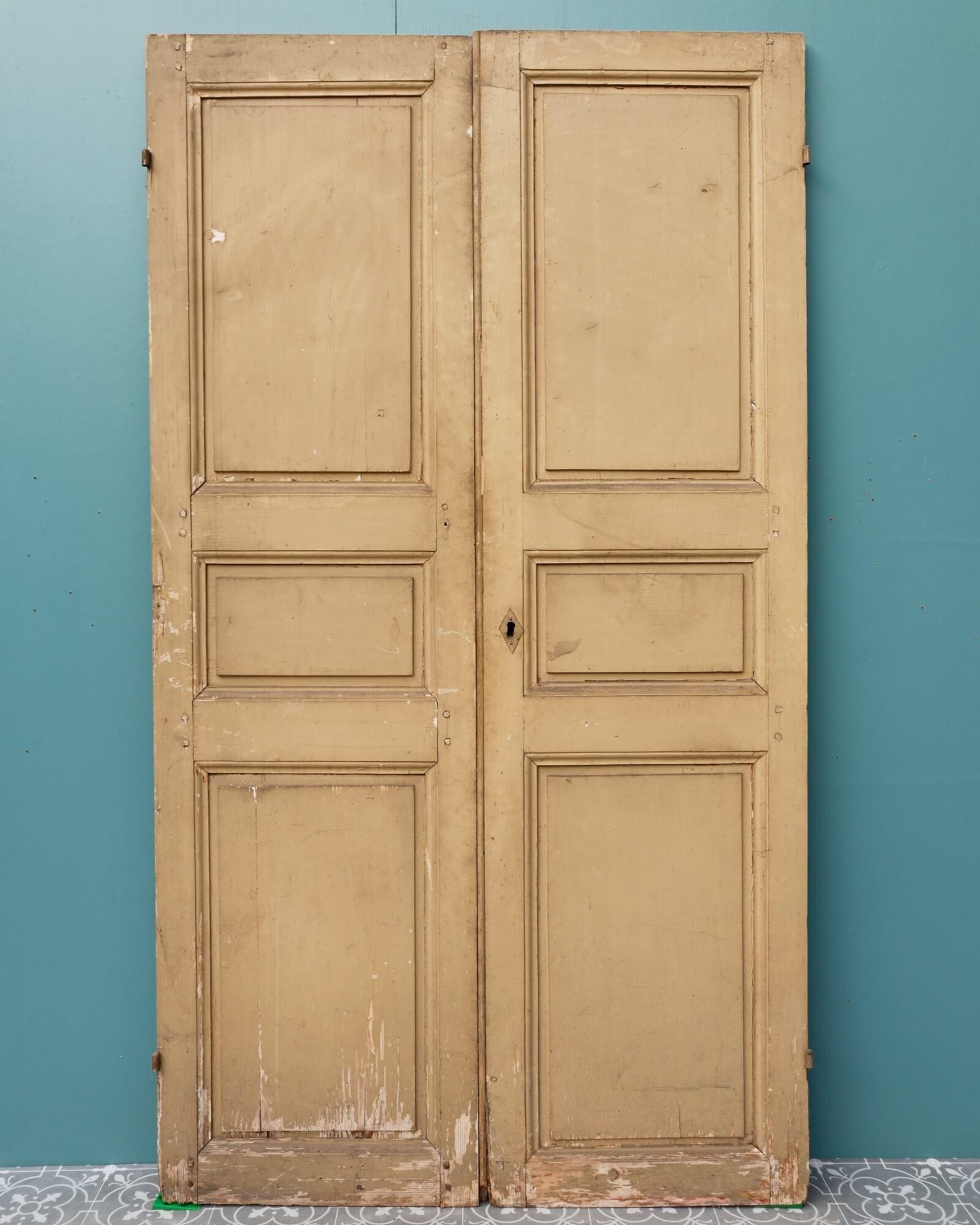 Country Set of Painted Pine French Cupboard Doors For Sale