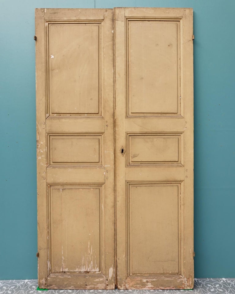 Set of Painted Pine French Cupboard Doors For Sale at 1stDibs