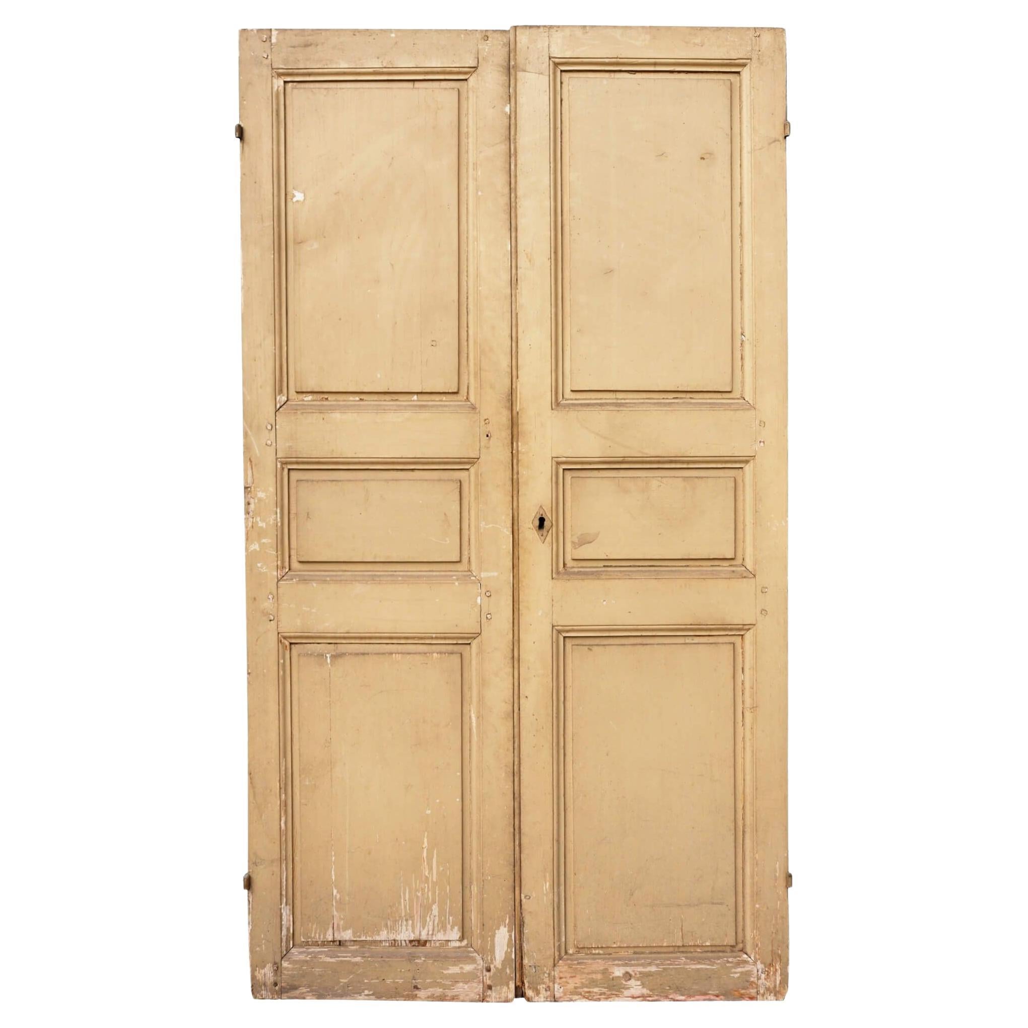 Set of Painted Pine French Cupboard Doors For Sale