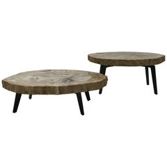 Set of Petrified Wood Tables