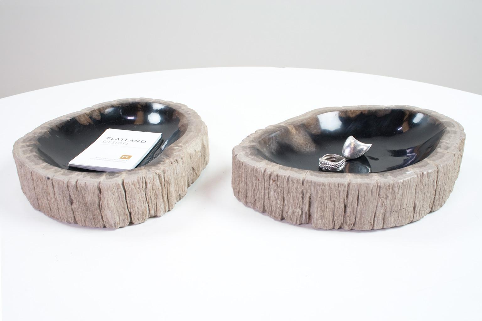 Set of two petrified wooden bowls, smooth sanded and polished on the inside. The somewhat rough, beige and white, outside stands out against the polished, anthracite / charcoal, inside, together with the organic shape make this an elegant set in any