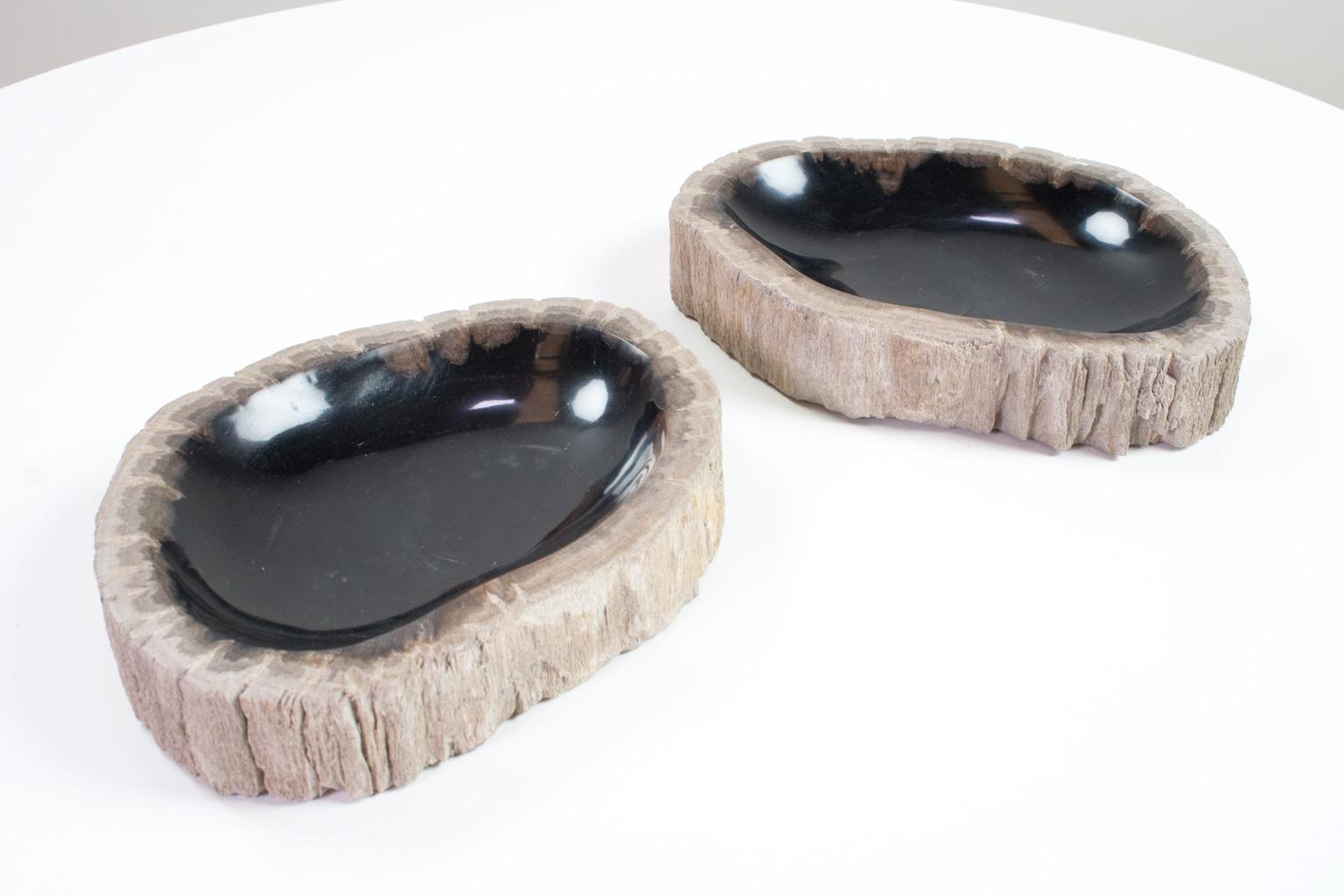 Organic Modern Set of Petrified Wooden Bowls, Home Accessory of Organic Original For Sale