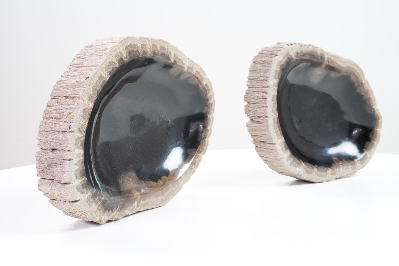 Stone Set of Petrified Wooden Bowls, Home Accessory of Organic Original For Sale