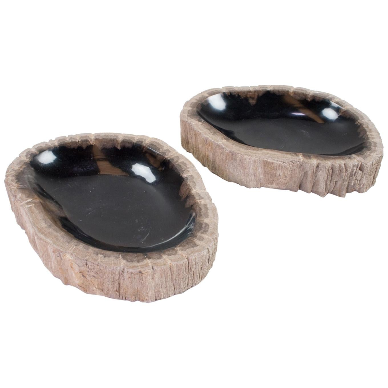 Set of Petrified Wooden Bowls, Home Accessory of Organic Original For Sale