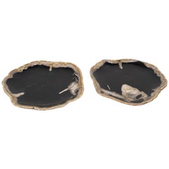 Antique Set of Petrified Wooden Plates in charcoal and beige Accessory of Organic Origin