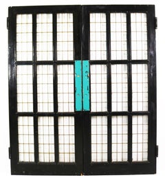Set of Reclaimed Copper Light Double Doors