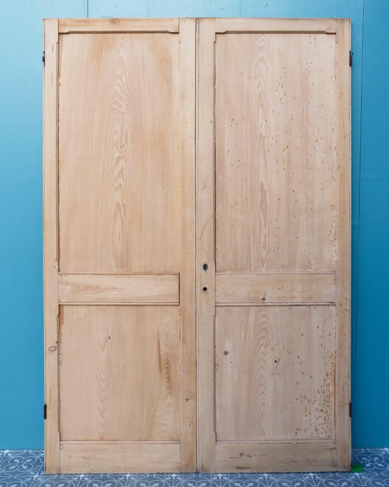 Set of Reclaimed Stripped Pine Cupboard Doors For Sale at 1stDibs