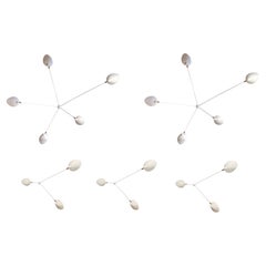 Serge Mouille - 2  5-Arm & 3  3-Arm Spider Sconces in White - IN STOCK!