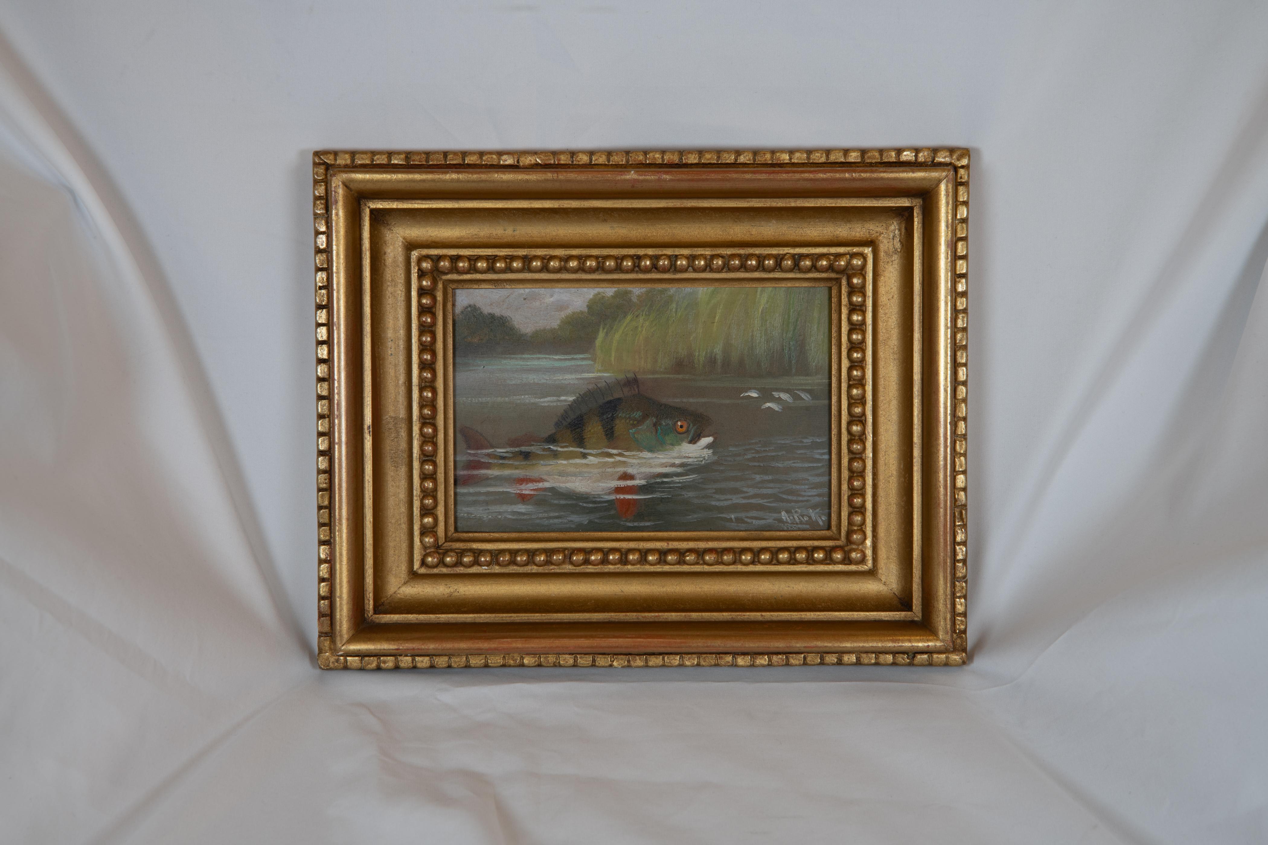 Satz von sieben 19.  Fischgemälde auf Karton von Roland Knight aus dem Jahrhundert (1845-1914) im Angebot 6