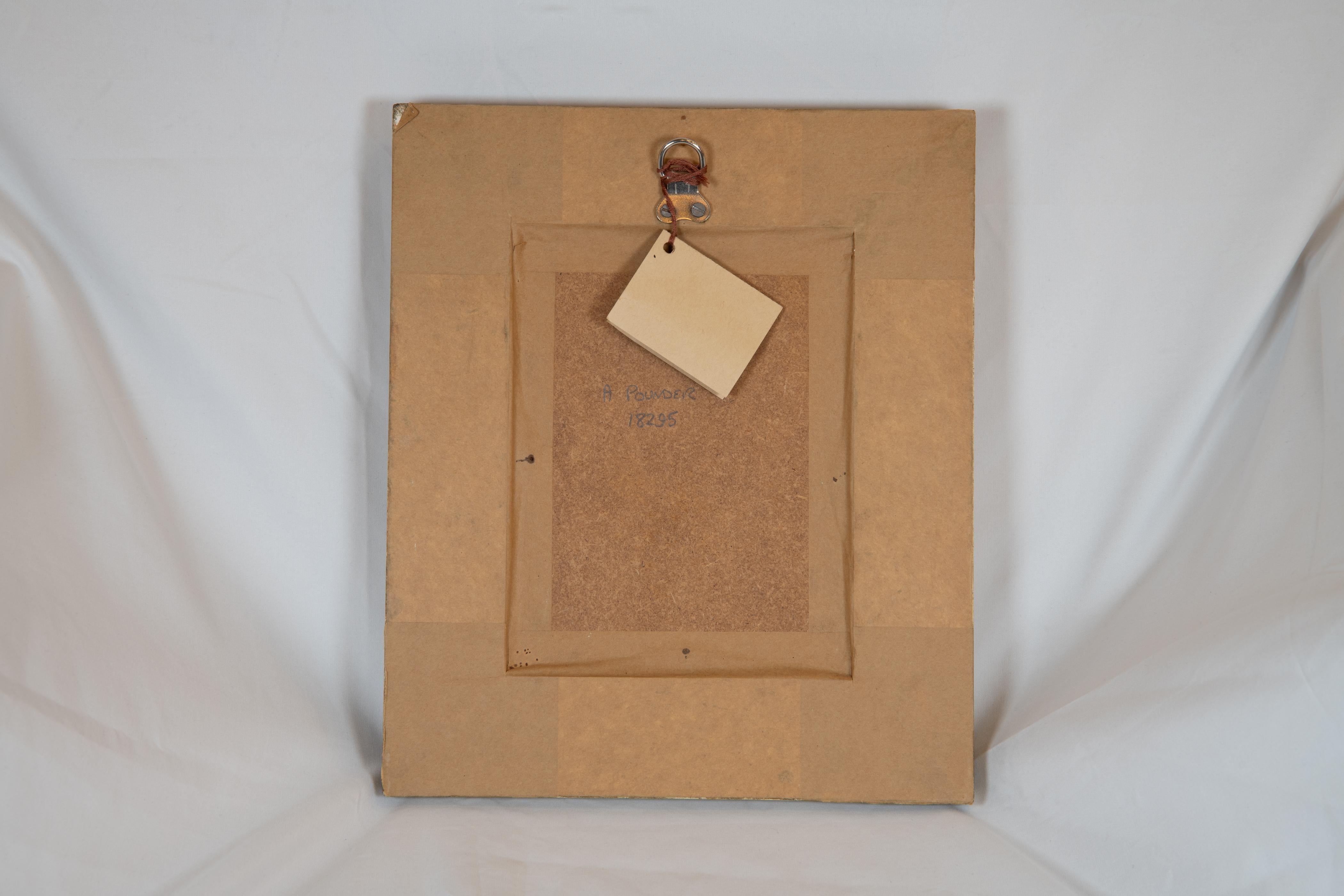 Satz von sieben 19.  Fischgemälde auf Karton von Roland Knight aus dem Jahrhundert (1845-1914) im Angebot 1