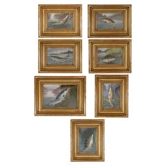 Conjunto de Siete 19  Cuadros de peces sobre tabla del siglo por Roland Knight (1845-1914)