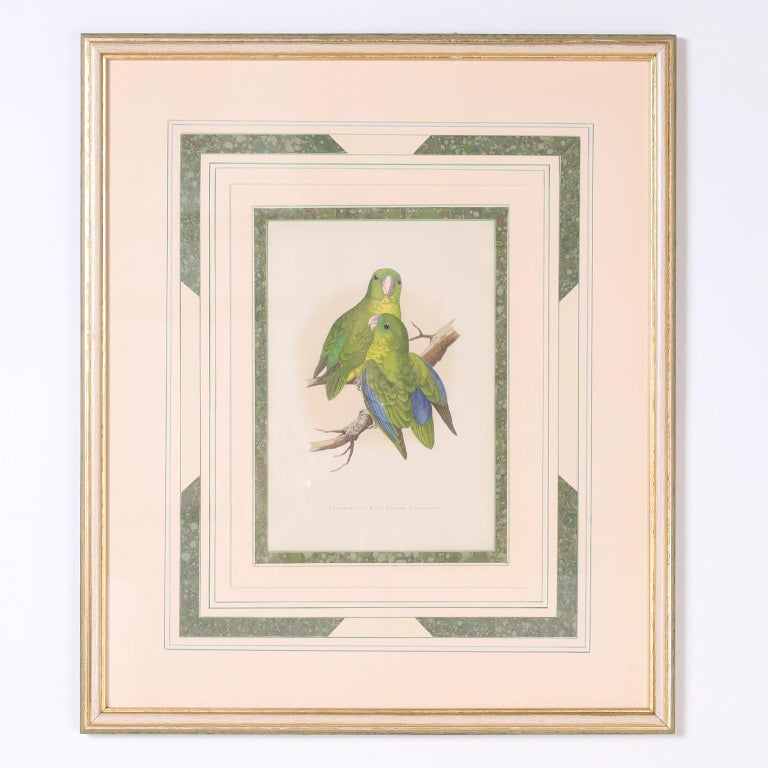 Set of Seven Bird Prints For Sale 5