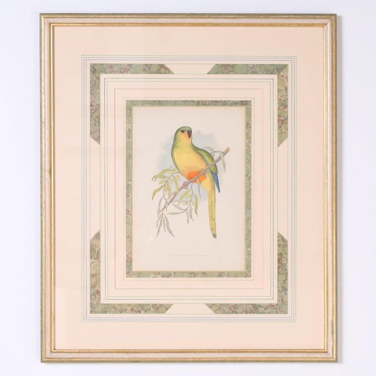 Set of Seven Bird Prints For Sale 7