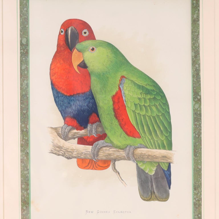 Set of Seven Bird Prints In Good Condition For Sale In Palm Beach, FL