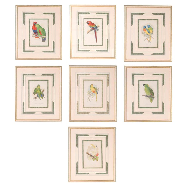 Set of Seven Bird Prints For Sale