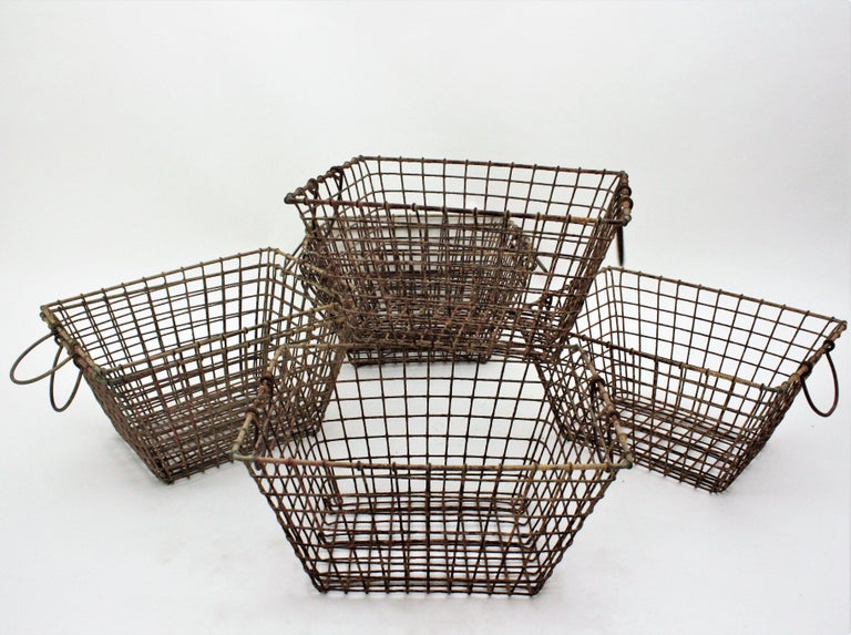 Set of Seven Coquillage Oysters Baskets in Iron Wire For Sale at 1stDibs