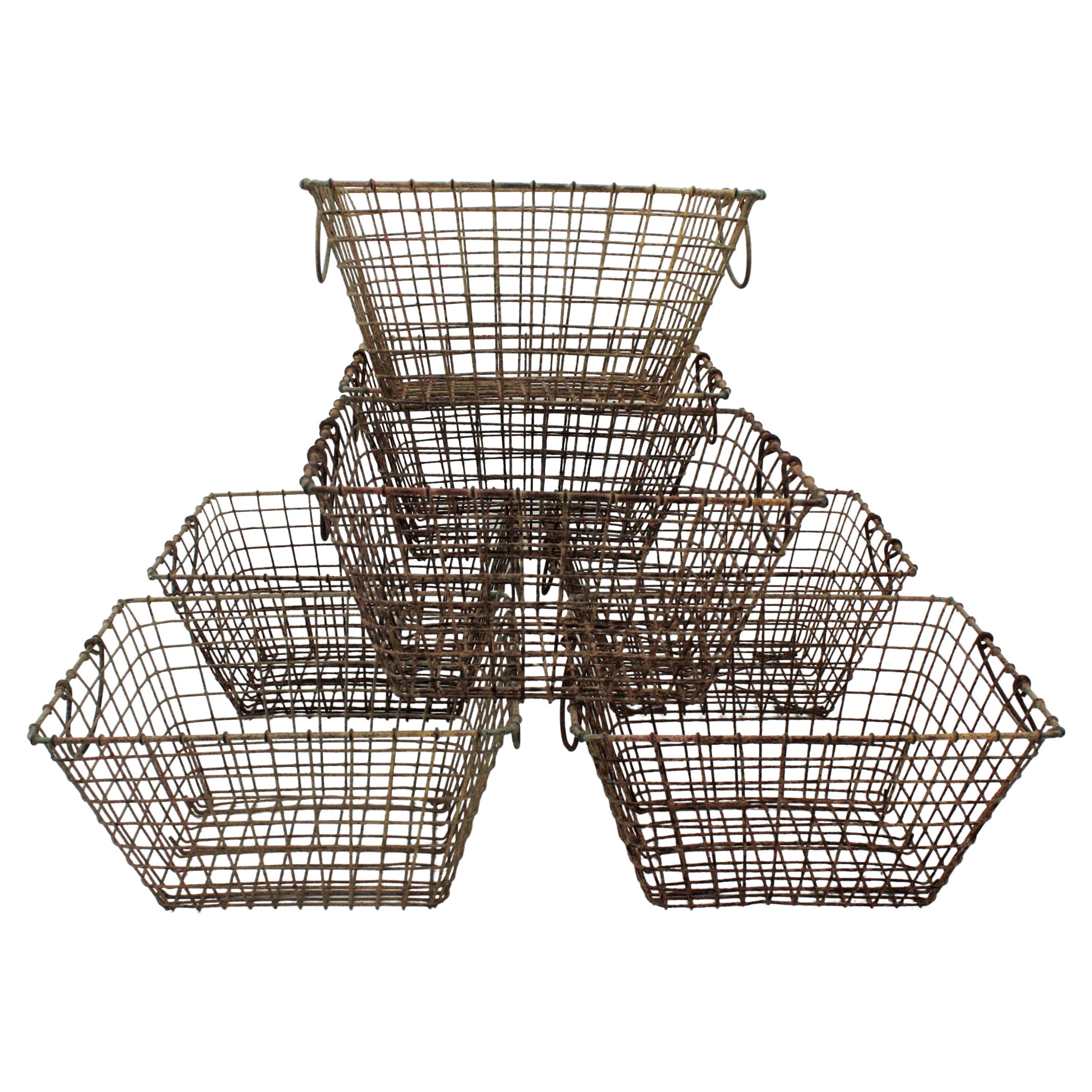 Set of Seven Coquillage Oysters Baskets in Iron Wire
