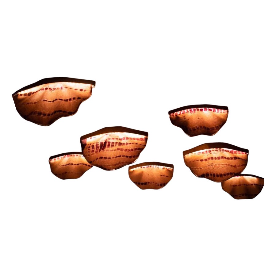 Set of Seven Turkey Tail Wall Sconces by Sashi Malik For Sale