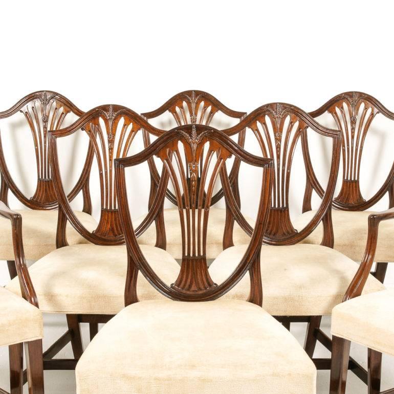 Sheraton Set of Shield Back Chairs