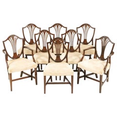 Set of Shield Back Chairs