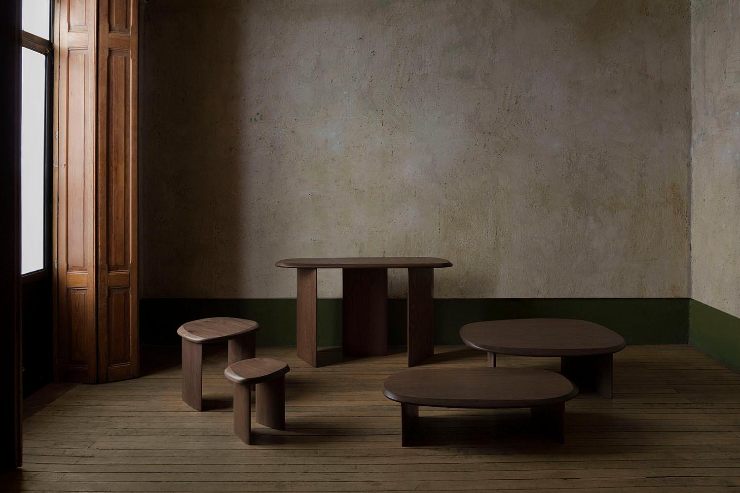 Set of Side Tables & Large Coffee Table Walnut Duna Collection by Joel Escalona 5