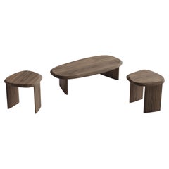 Set of Side Tables Medium Coffee Table Walnut Duna Collection by Joel Escalona