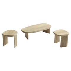 Set of Side Tables & Small Coffee Table Poplar Duna Collection by Joel Escalona