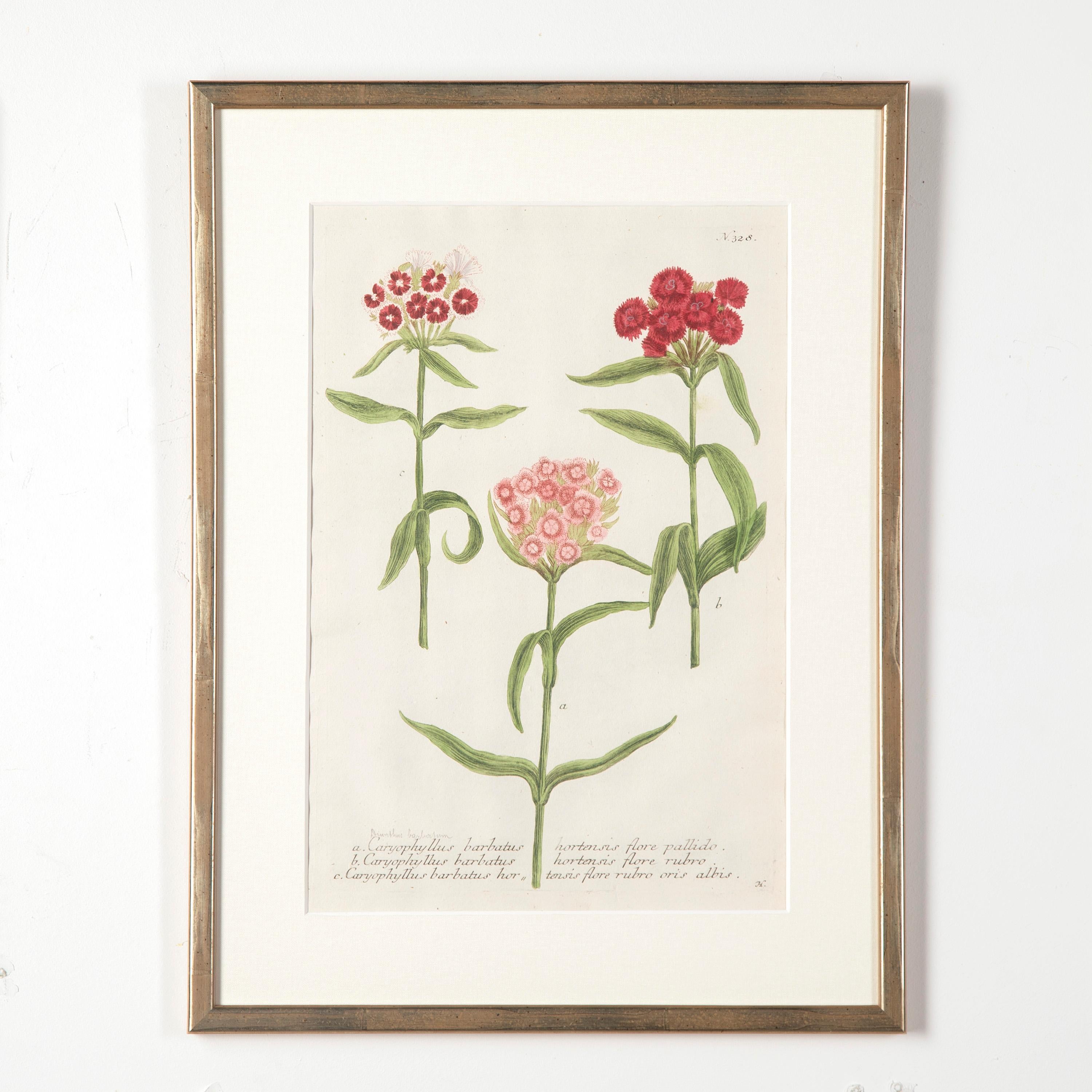 German Set of Six 18th Century Botanical Prints by Weinmann