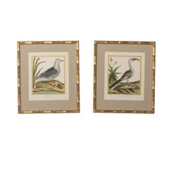 Ensemble de six gravures du XVIIIe siècle de François Nicolas Martinet