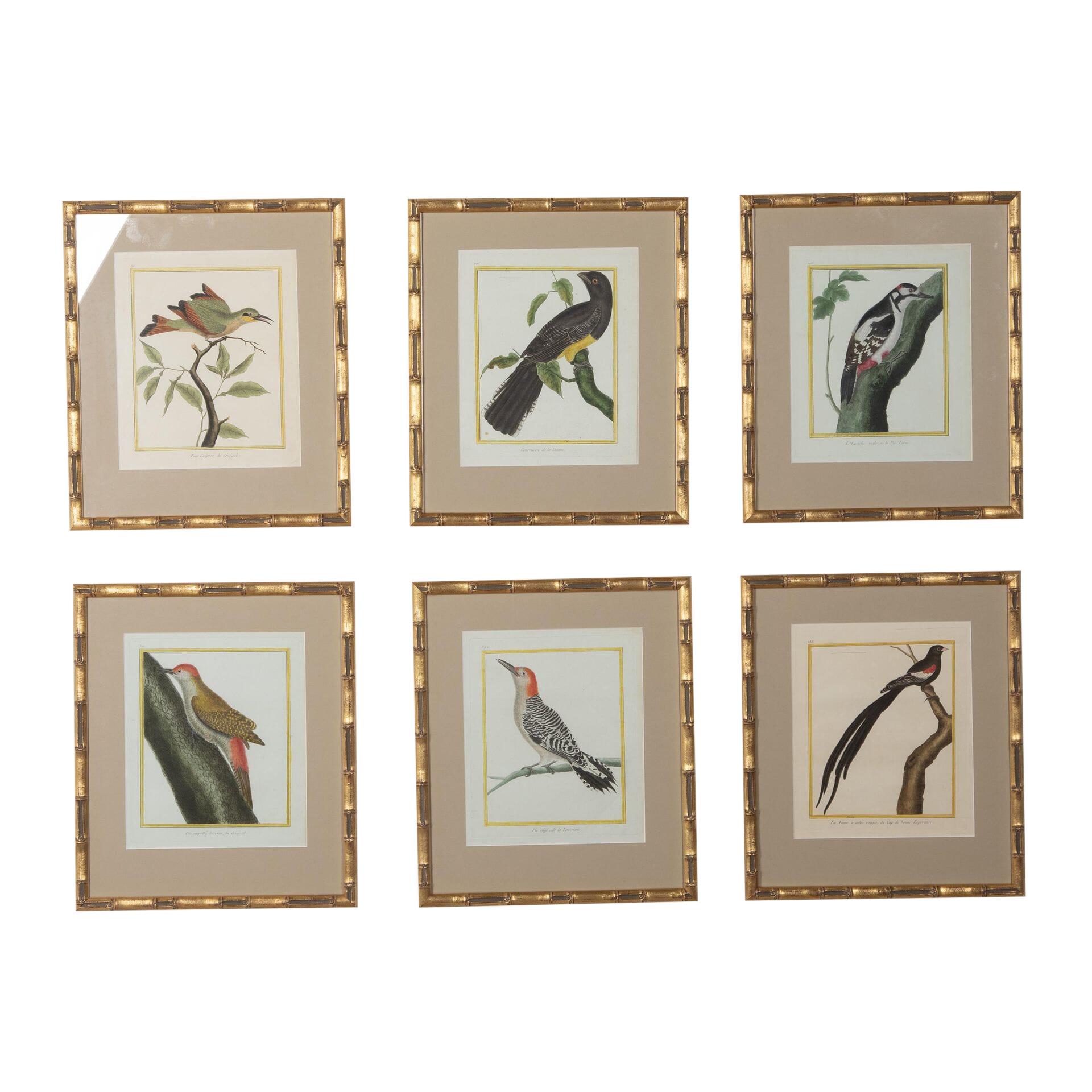 French Set of Six 18th Century Engravings by Francois Nicholas Martinet For Sale