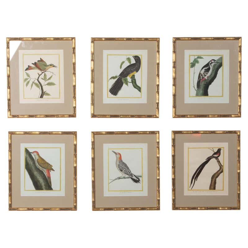 Set of 12 Framed Botanical Etchings, 18th Century at 1stDibs | antique ...
