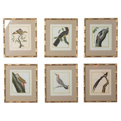 Ensemble de six gravures du XVIIIe siècle de François Nicolas Martinet