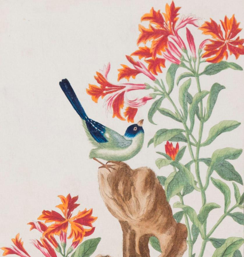 Un ensemble de six gravures colorées à la main du XVIIIe siècle d'une qualité exceptionnelle
Buchoz, Pierre Joseph. Collection précieuse et enluminée des fleurs les plus belles et les plus curieuses, qui se cultivent tant dans les jardins de la
