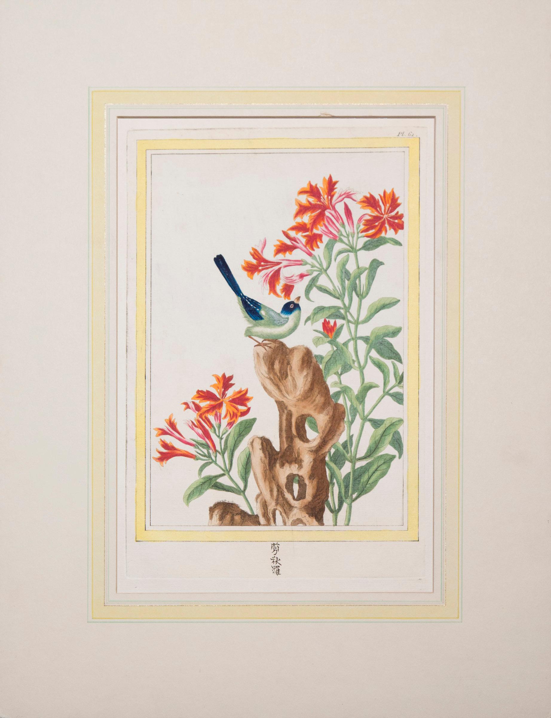 Peint à la main Ensemble de six estampes botaniques colorées à la main du 18ème siècle, P.J. Buchoz, 1776 en vente