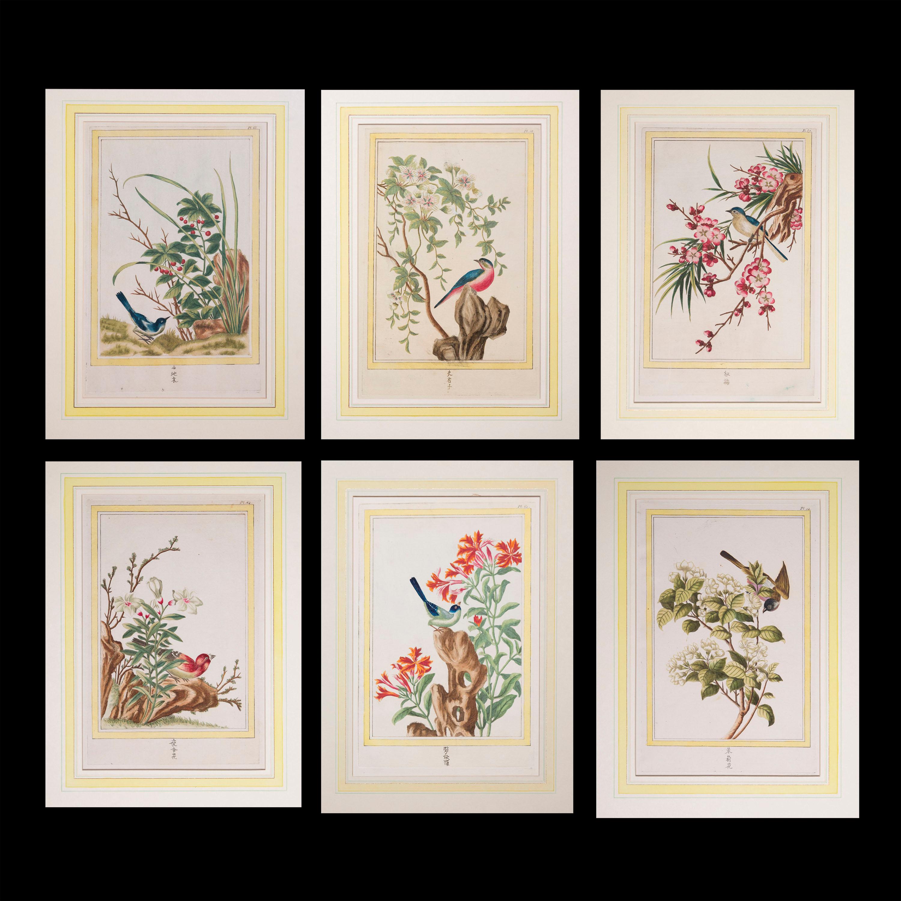 Paper Set of Six 18th Century Hand-Colored Botanical Prints, P.J. Buchoz, 1776 For Sale
