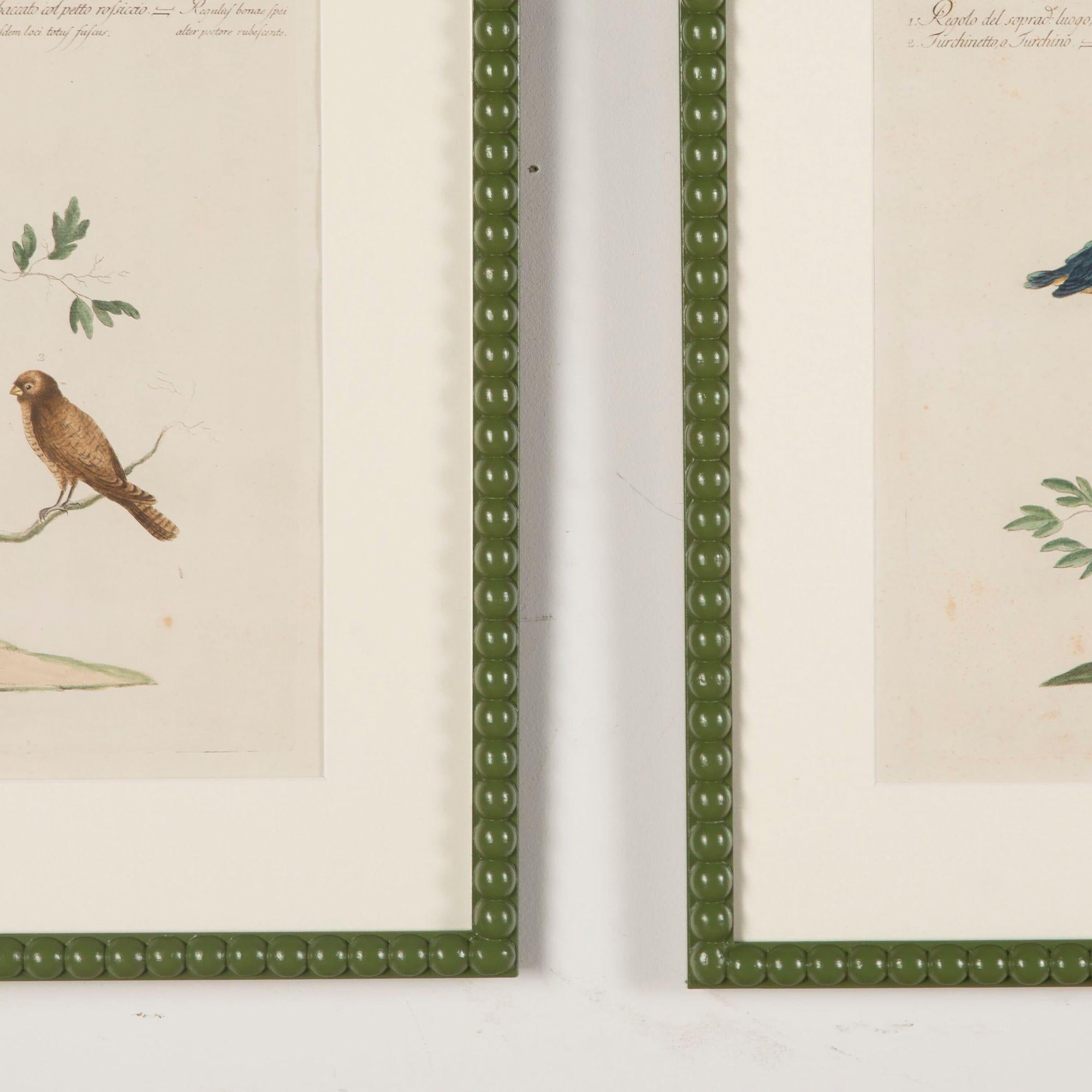 18th century Saverio Manetti hand-coloured bird engravings.
Presented in bespoke hand-painted and lacquered bobbin frames with hessian mounts and Ar70 Artglass for optimal clarity.
These engravings originate from ‘Storia naturale degli Uccelli’ by