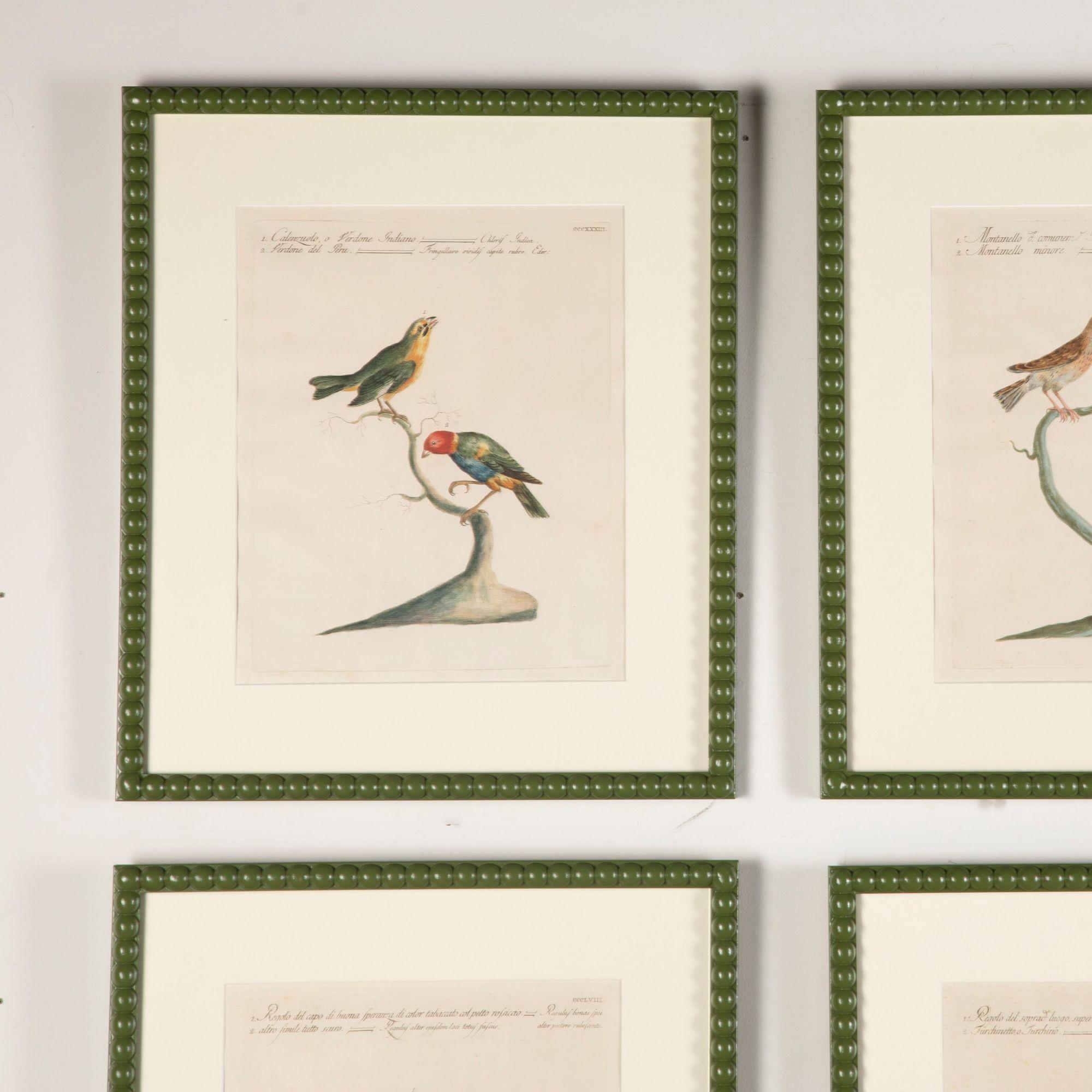 Italian Set of Six 18th Century Mannetti Bird Engravings