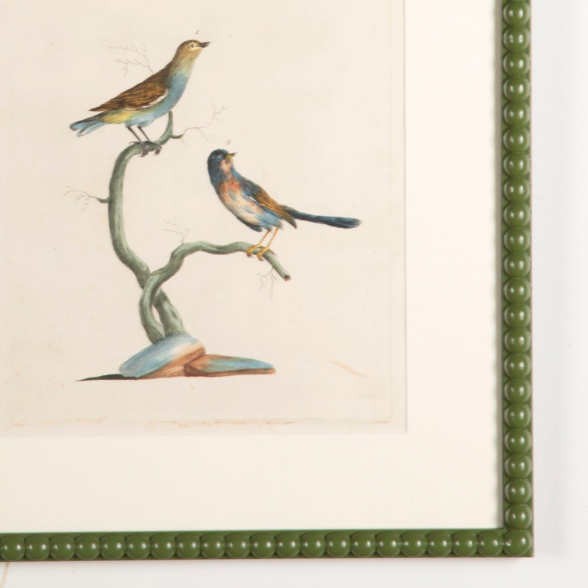 18th Century and Earlier Set of Six 18th Century Mannetti Bird Engravings