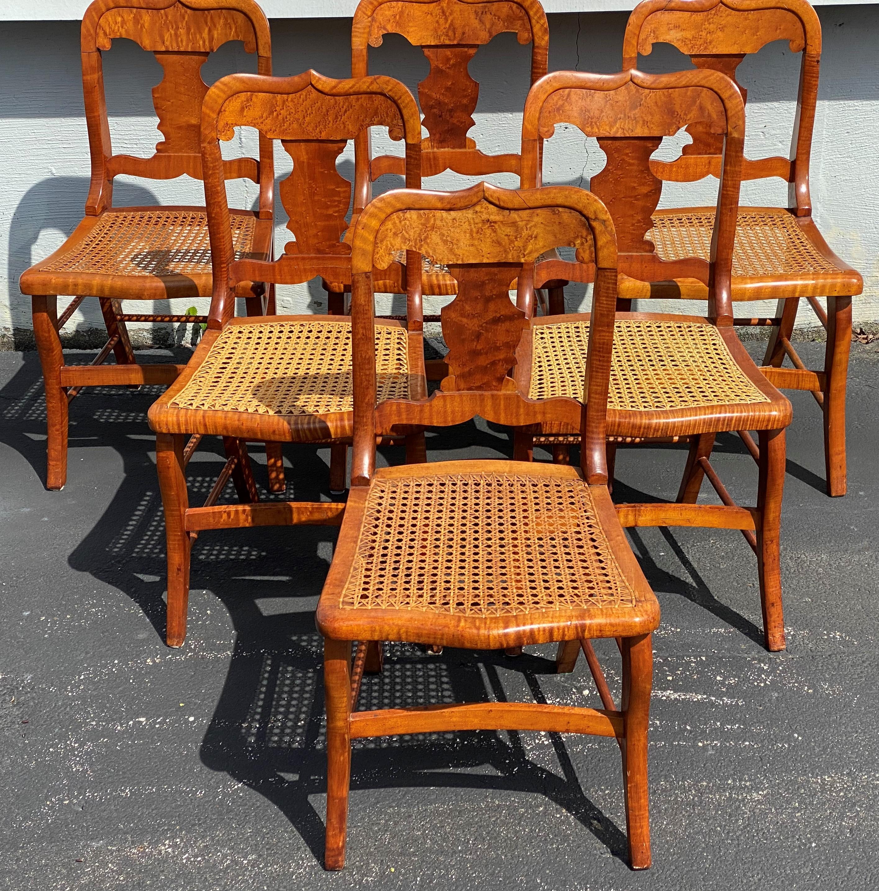 Ein feiner Satz von sechs Beistellstühlen aus Vogelaugenahorn mit Rohrsitzen im Empire-Stil, mit schön geformten Kämmen und Leisten aus dem 19. Jahrhundert. Sehr guter Gesamtzustand, zwei Stühle mit neueren Bespannungen, kleinen Kantenverlusten,
