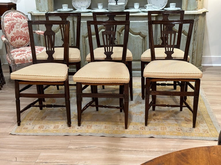 Set of Six 19th Century Country French Chairs For Sale at 1stDibs