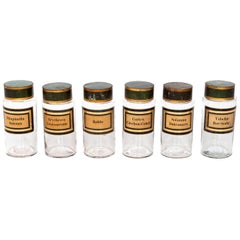 Set of Six 19th Century French Hand Blown Apothecary Jars