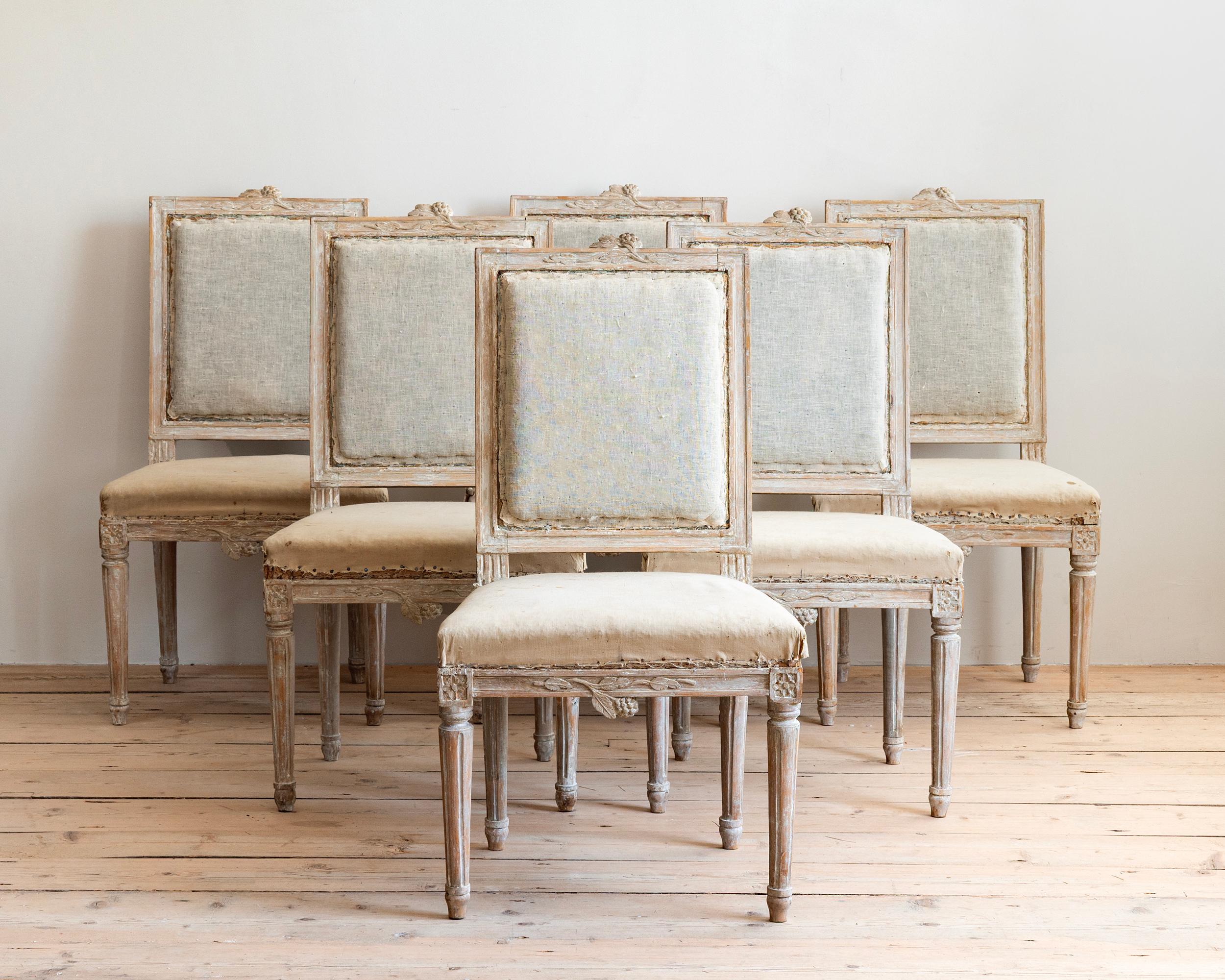 Ensemble de six chaises gustaviennes du 19ème siècle avec leur padding et mousseline d'origine. Grattage à sec pour révéler la finition d'origine. Stockholm, Suède, vers 1800.