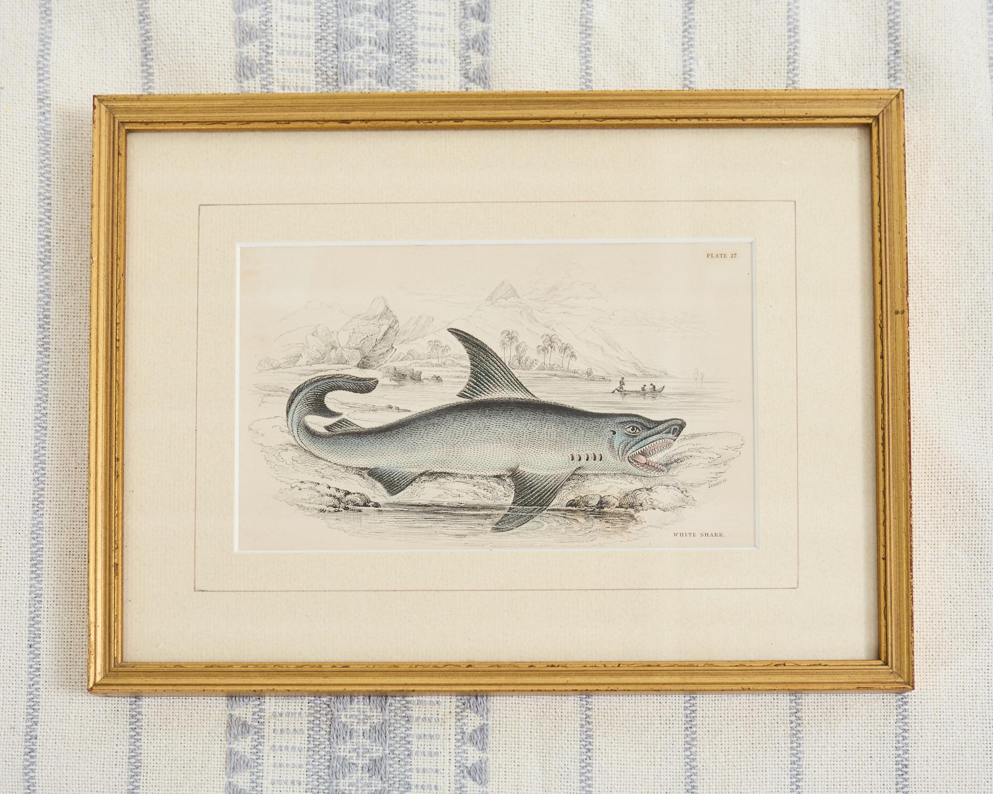 Hand-Crafted Set of Six 19th Century Hand-Colored Marine Biology Prints For Sale