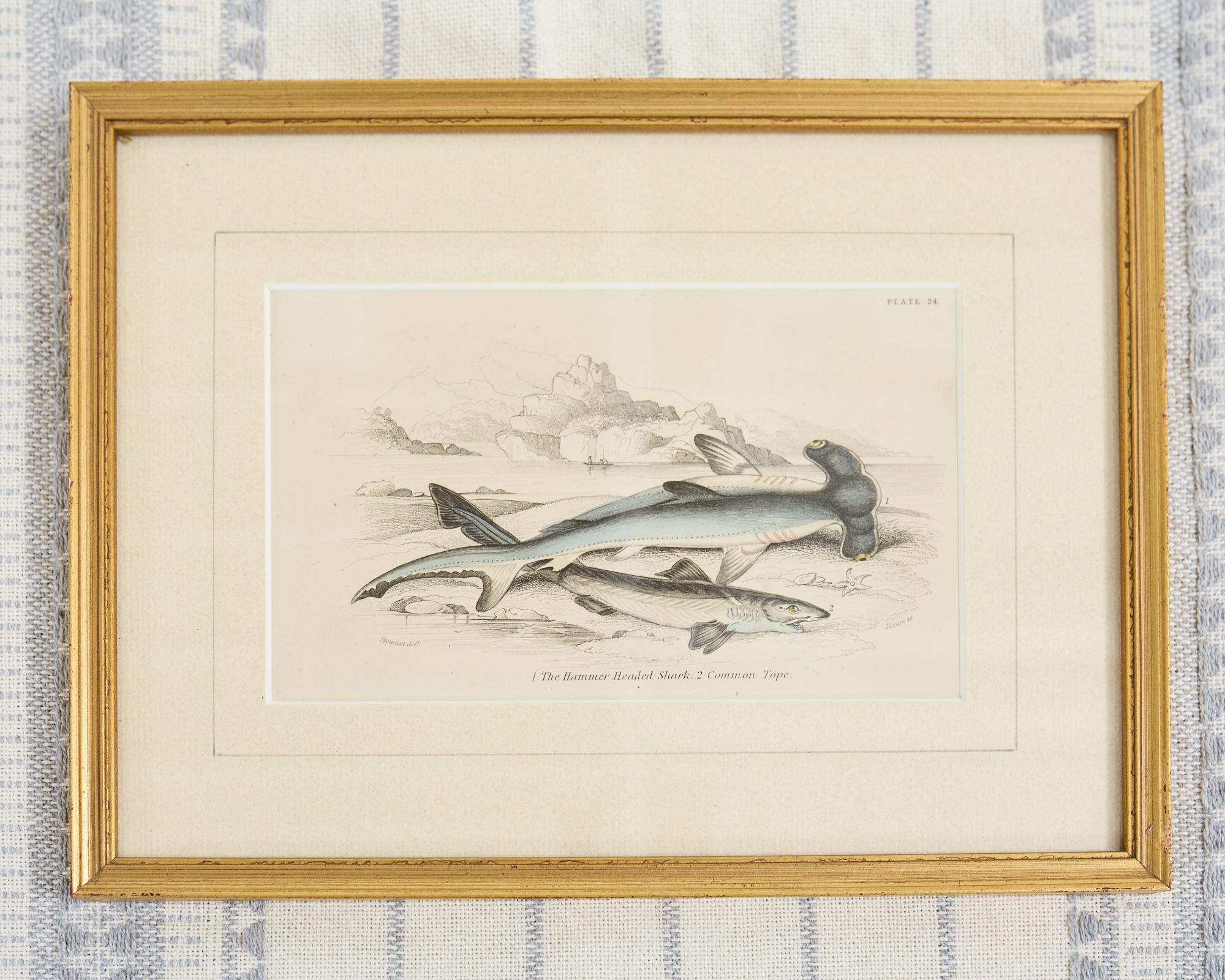 Giltwood Set of Six 19th Century Hand-Colored Marine Biology Prints For Sale