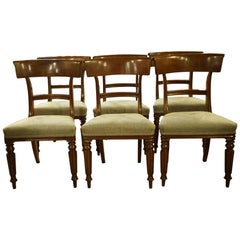 Set of six 19th Century Mahogany Chairs