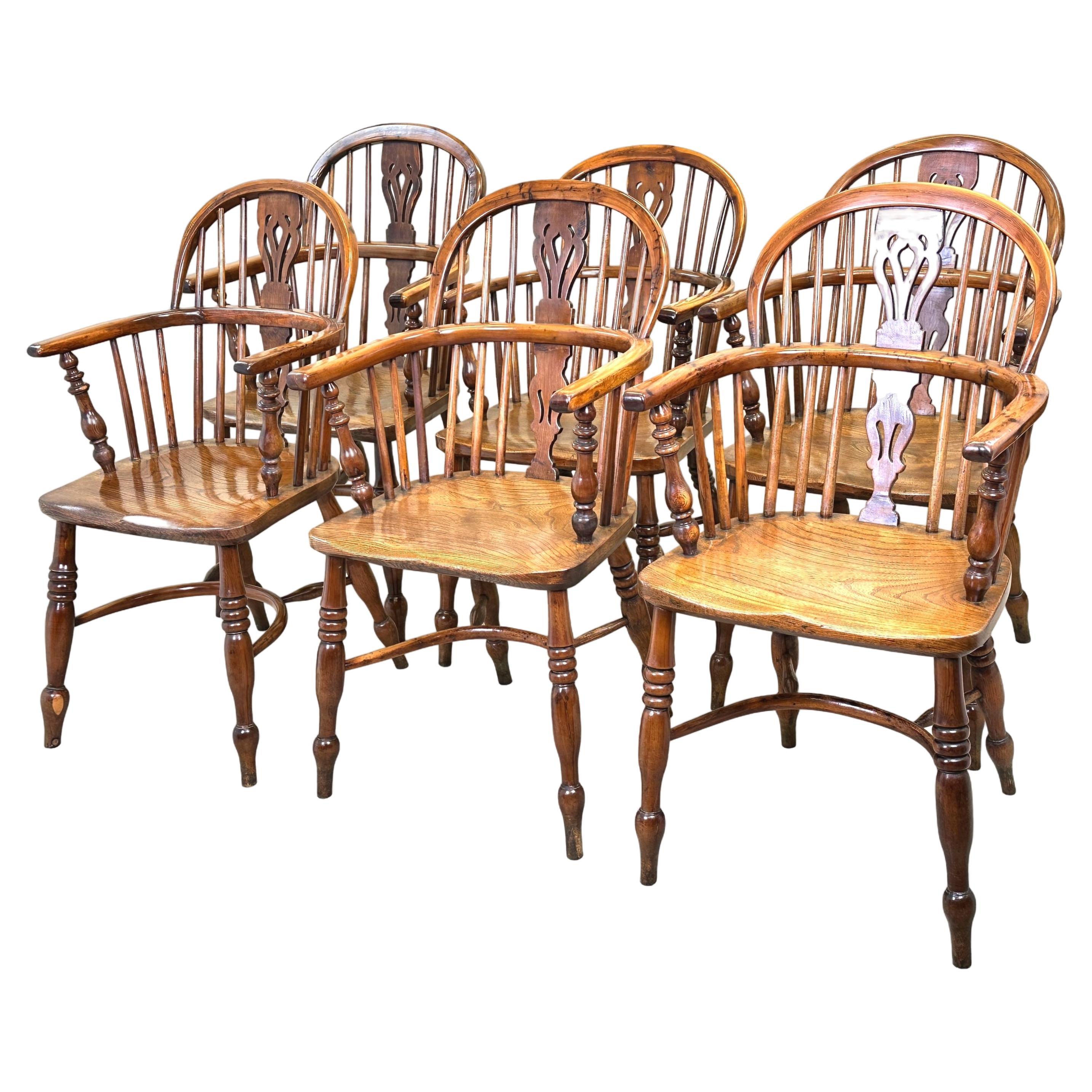 Set Of Six 19th Century Yew Windsor Chairs For Sale