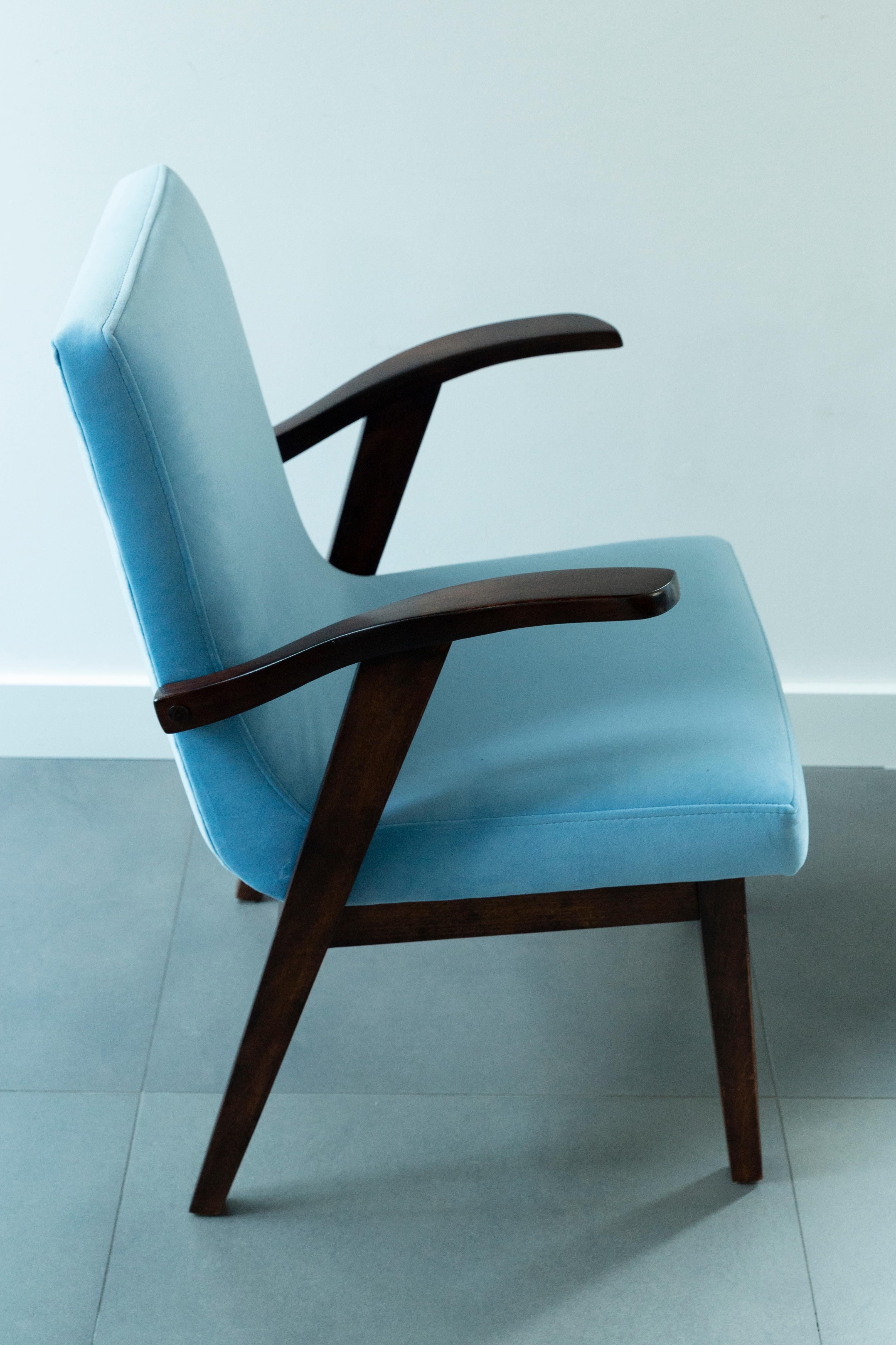 Armchair designed by Mieczyslaw Puchala. Dark brown wood combined with a baby blue beautiful velvet gives it elegance and nobility. The chair has undergone a full carpentry and upholstery renovation. The wood is in excellent condition after full